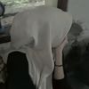 erlinaa885