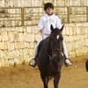 horse_rinding_11111