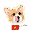 Corgi Ú Nần