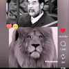 mahir525238