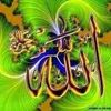 gamez.abd.el.ader
