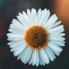 ruken_sezgin72