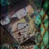kat_xzv