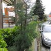 orhan.5934