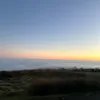 alicesumner23