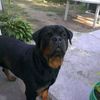 anthony.makuski
