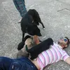 giuseppe.allevato3