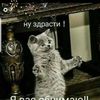 user74761233639405