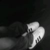 daliatamer8