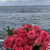 user168613087656