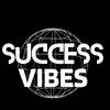 successvibes16