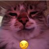 alexis_4_11