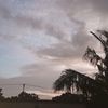 orang_1.20