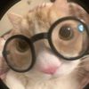 yizhan_18233