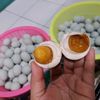 surotun26