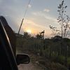 andrws_11