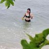 pureboholana.ann