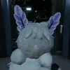kotuator0