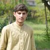 malik.saad6722