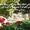 user7511494394419