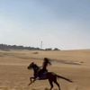 habibashraf311