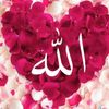 user3214670659359