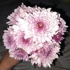 fertt_02