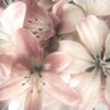 dhay_9360