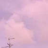 inhlina88