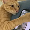 minhhanhhh16