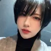 ragdoll_zima