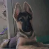john_d_b