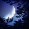 sm.silver.moon