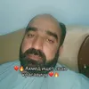 mega_fimos