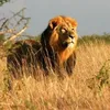 wildlifewonders.1