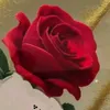 rhma5549
