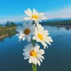 bng6771