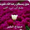 zahra02355