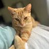 NALA