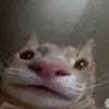 j0bdj