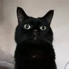 jagamo71