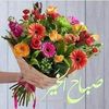 mohammad.ali.ali74