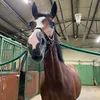 chiara_altan_