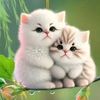 rasel.mhamud53