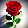 user922575564