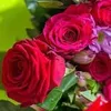maha.mohsen35
