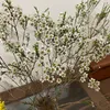 hoanang_921227