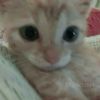 aleca.zech
