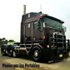 cornelio.palma4
