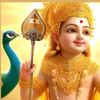 vinshan.vinshan7